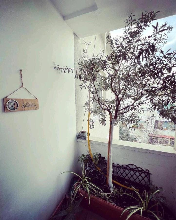 Cozy & Stylish Apartment Tiranë Ngoại thất bức ảnh